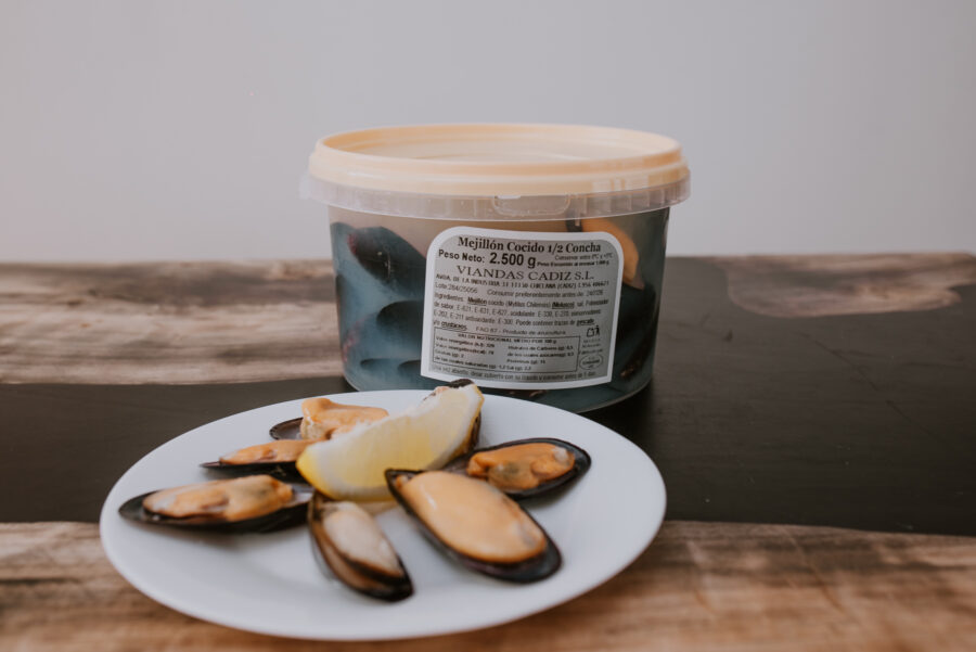 Cubos de Mejillones
